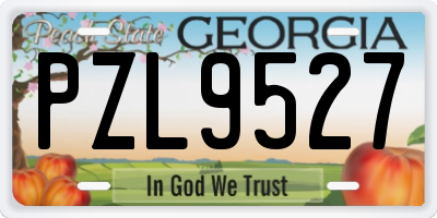 GA license plate PZL9527