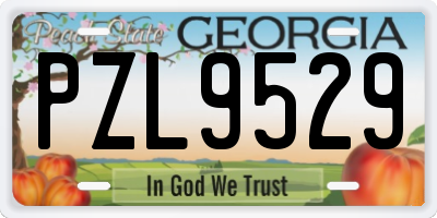 GA license plate PZL9529