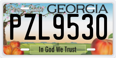 GA license plate PZL9530