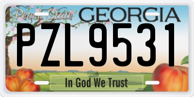 GA license plate PZL9531