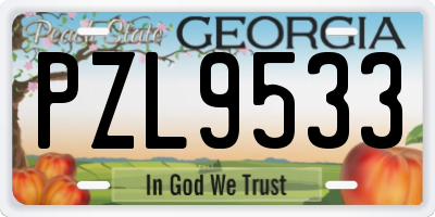 GA license plate PZL9533