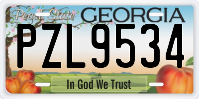 GA license plate PZL9534