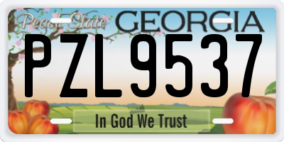 GA license plate PZL9537