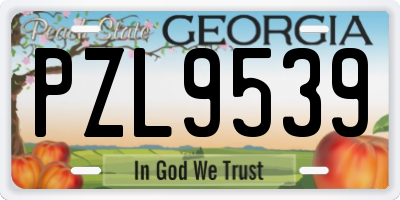 GA license plate PZL9539