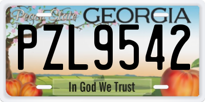 GA license plate PZL9542