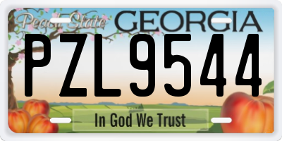 GA license plate PZL9544