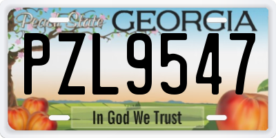 GA license plate PZL9547