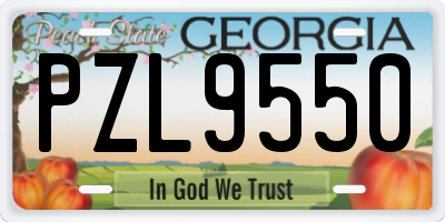 GA license plate PZL9550