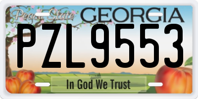 GA license plate PZL9553