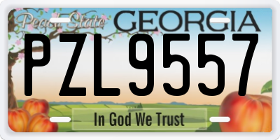 GA license plate PZL9557