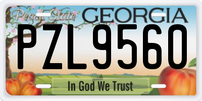 GA license plate PZL9560