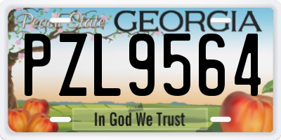 GA license plate PZL9564