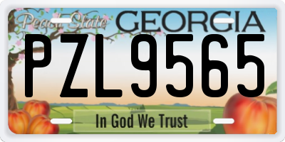 GA license plate PZL9565