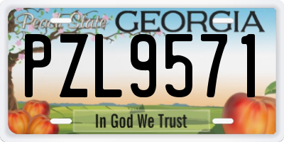 GA license plate PZL9571