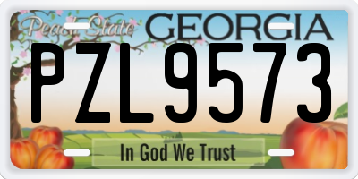 GA license plate PZL9573