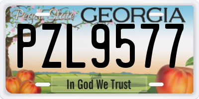 GA license plate PZL9577