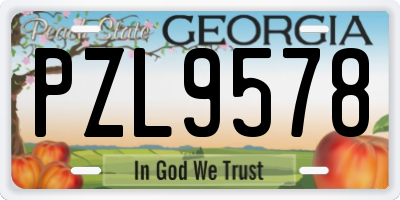 GA license plate PZL9578