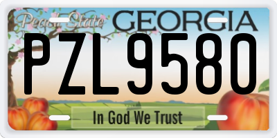 GA license plate PZL9580