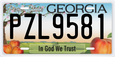 GA license plate PZL9581