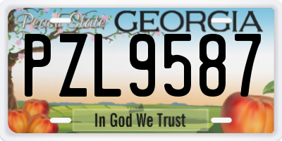GA license plate PZL9587