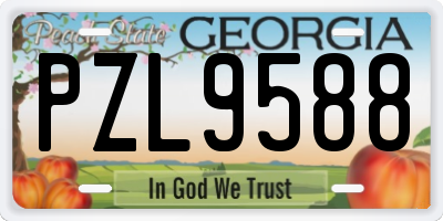 GA license plate PZL9588