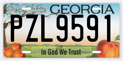 GA license plate PZL9591