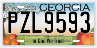 GA license plate PZL9593