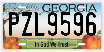 GA license plate PZL9596
