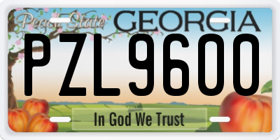 GA license plate PZL9600