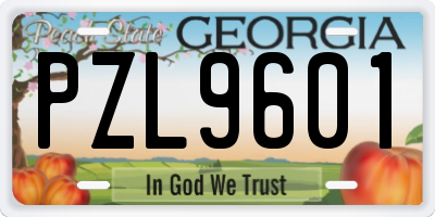 GA license plate PZL9601