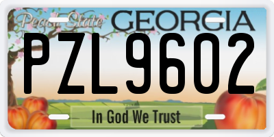 GA license plate PZL9602