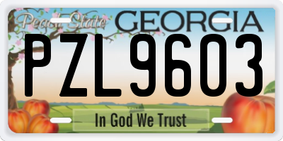 GA license plate PZL9603