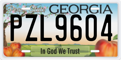 GA license plate PZL9604