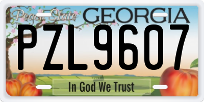 GA license plate PZL9607