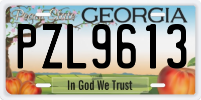 GA license plate PZL9613