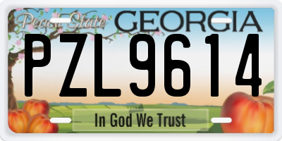 GA license plate PZL9614