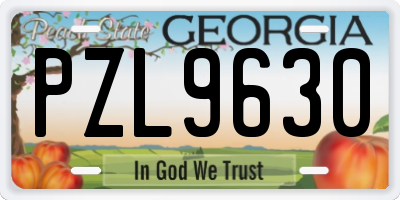 GA license plate PZL9630