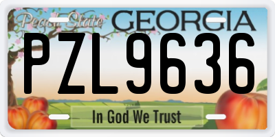 GA license plate PZL9636