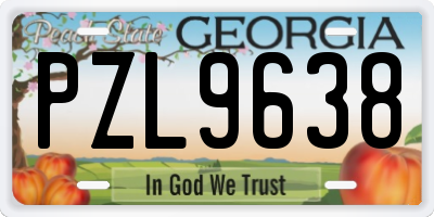 GA license plate PZL9638