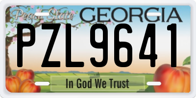 GA license plate PZL9641