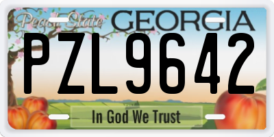 GA license plate PZL9642