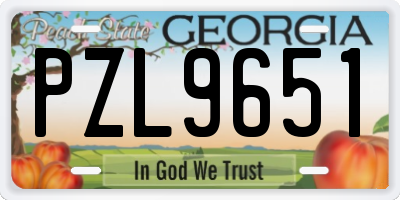 GA license plate PZL9651