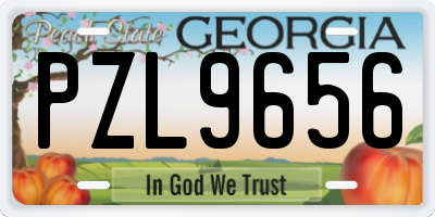 GA license plate PZL9656