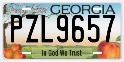 GA license plate PZL9657