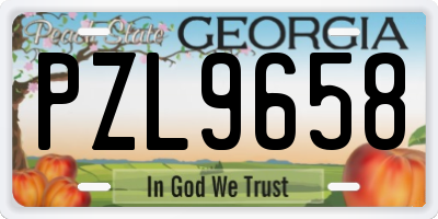 GA license plate PZL9658