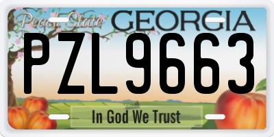 GA license plate PZL9663