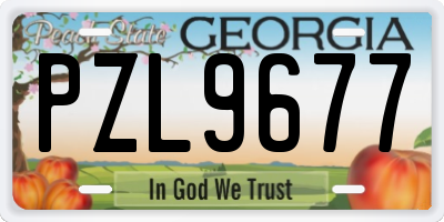 GA license plate PZL9677