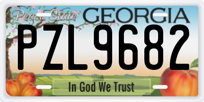 GA license plate PZL9682