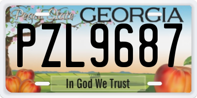 GA license plate PZL9687