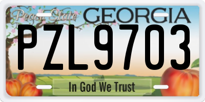 GA license plate PZL9703